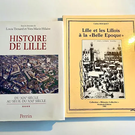 Heloise, Le Charme Du Vieux-lille Lille